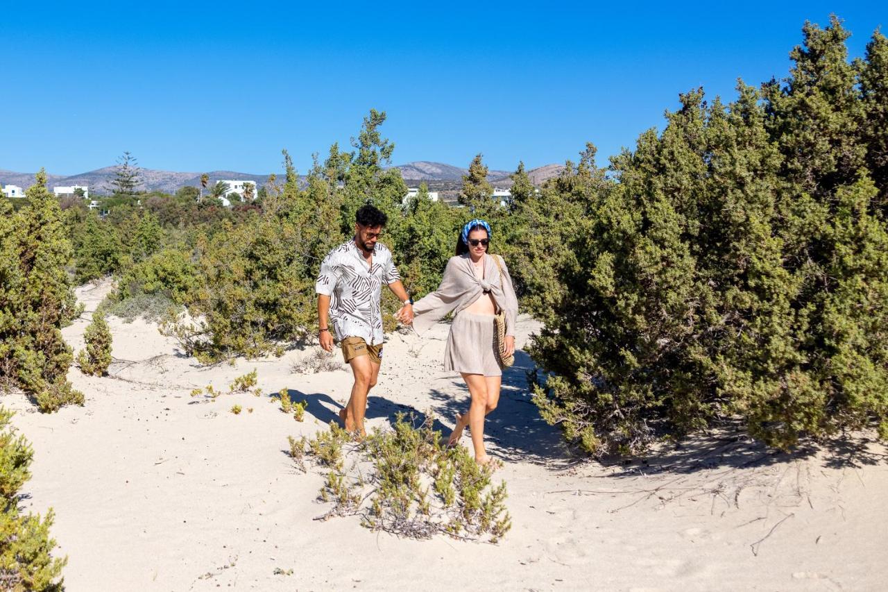 Villa Alyko Aliko Beach المظهر الخارجي الصورة