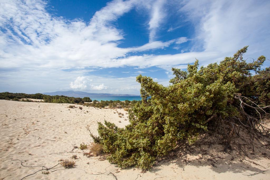 Villa Alyko Aliko Beach المظهر الخارجي الصورة