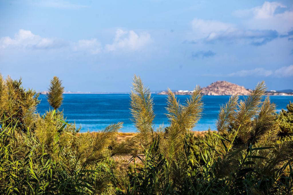 Villa Alyko Aliko Beach المظهر الخارجي الصورة