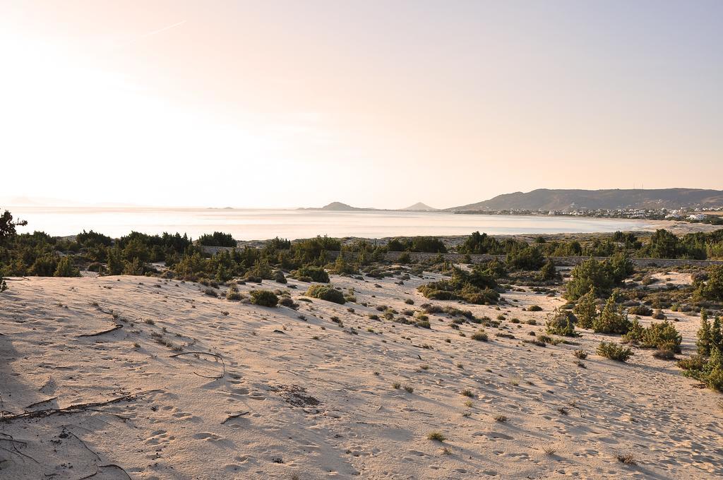 Villa Alyko Aliko Beach المظهر الخارجي الصورة